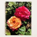 Recherche de essai bureau fournitures Rose