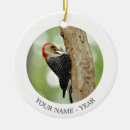 Recherche de rouge gonflé Birding