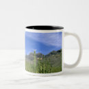 Recherche de monuments tasses Paysage