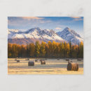 Recherche de agriculture cartes postales Ferme