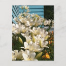 Recherche de mensonges cartes postales Floral