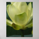 Zoek naar vijvers posters Natuur