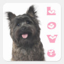 Recherche de cairn terrier autocollants Amoureux des chiens