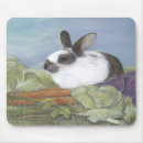 Recherche de pâques lapin tapis souris Nature