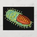 Recherche de biochimie posters Tridimensionnel