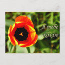 Recherche de sensation cartes postales Fleur