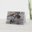 Recherche de poule poussins vœux cartes Bébé