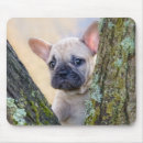 Zoek naar french muismatten Puppy