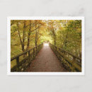 Recherche de chemins de fer cartes postales Nature