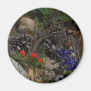 Recherche de pot pourri Fleurs