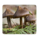 Recherche de champignon planches à découper Forêt