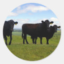 Recherche de colline verte autocollants Bleu