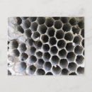 Recherche de ruche cartes postales Abeille