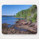 Recherche de conifères tapis souris Parc national