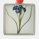 Recherche de iris ornements Coloré