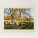 Recherche de mouton puzzles Anniversaire
