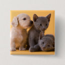 Recherche de russes badges Chiot