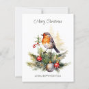 Zoek naar christmas robin briefkaarten Vogel