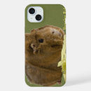 Recherche de l inde iphone coques Cochon d'inde