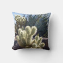 Recherche de tucson coussins Sud ouest