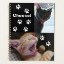 Recherche de rient Animal