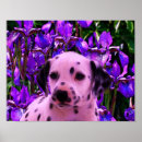 Recherche de dalmate art Animal