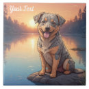 Recherche de bétail carreaux Animaux domestiques