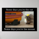 Recherche de chat et souris posters Drôle