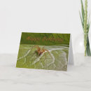 Zoek naar cynisch briefkaarten Raar