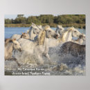 Zoek naar paard water posters Ruitersport