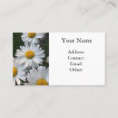 Recherche de shasta cartes visite Jardin