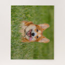 Recherche de jouer puzzles Mignon