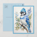 Zoek naar vogeltje briefkaarten Dier