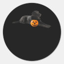 Recherche de mutt autocollants Chiot