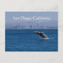 Recherche de baleine grise cartes postales Pour tous