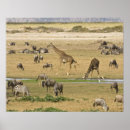Recherche de gnou art Faune