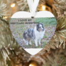 Recherche de chien de berger de shetland ornements Colley