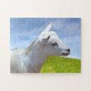 Zoek naar geiten puzzels Kunst