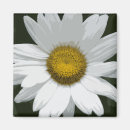 Recherche de baise magnets Fleurs