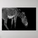 Recherche de équin posters Animal