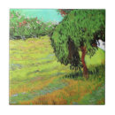 Recherche de pelouse carreaux Été