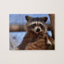 Zoek naar schatten puzzels Wild