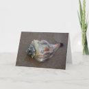 Zoek naar schalen notitiekaarten Kust