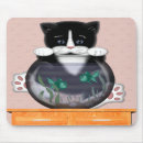 Recherche de poisson chat tapis souris Minou