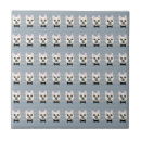 Recherche de taureaux carreaux Dog