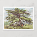 Recherche de jardins de kew cartes postales Ernique