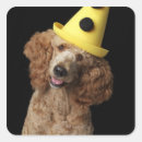 Recherche de petite race de chien autocollants Image couleur