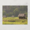 Recherche de style asiatique cartes postales Asie