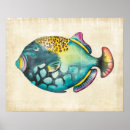 Recherche de aquarelle colorée posters Tropical