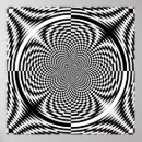 Zoek naar illusies posters Optische illusie